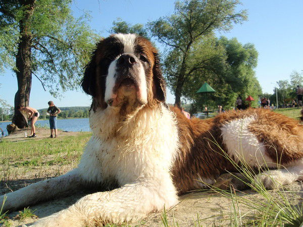 Наталья Черманенко