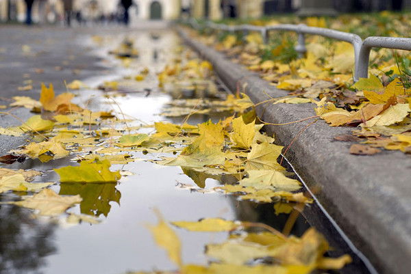 Валера Кудаев