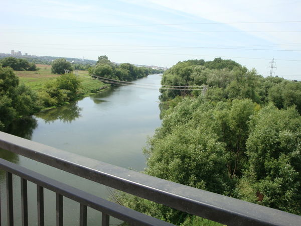 Алёнка Шестопалова