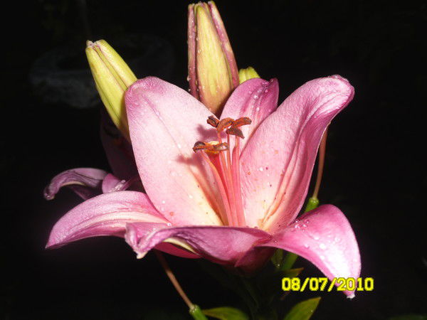 Наталья Гаранина