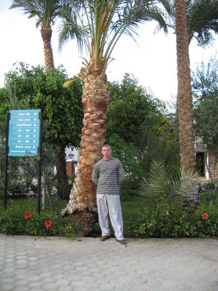 Александр Овчинников