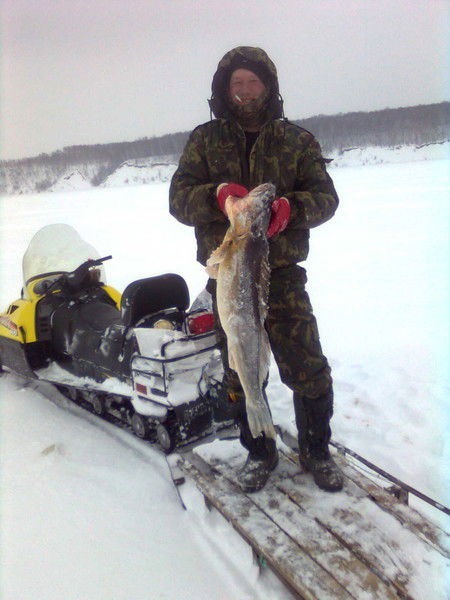 Николай Чернов