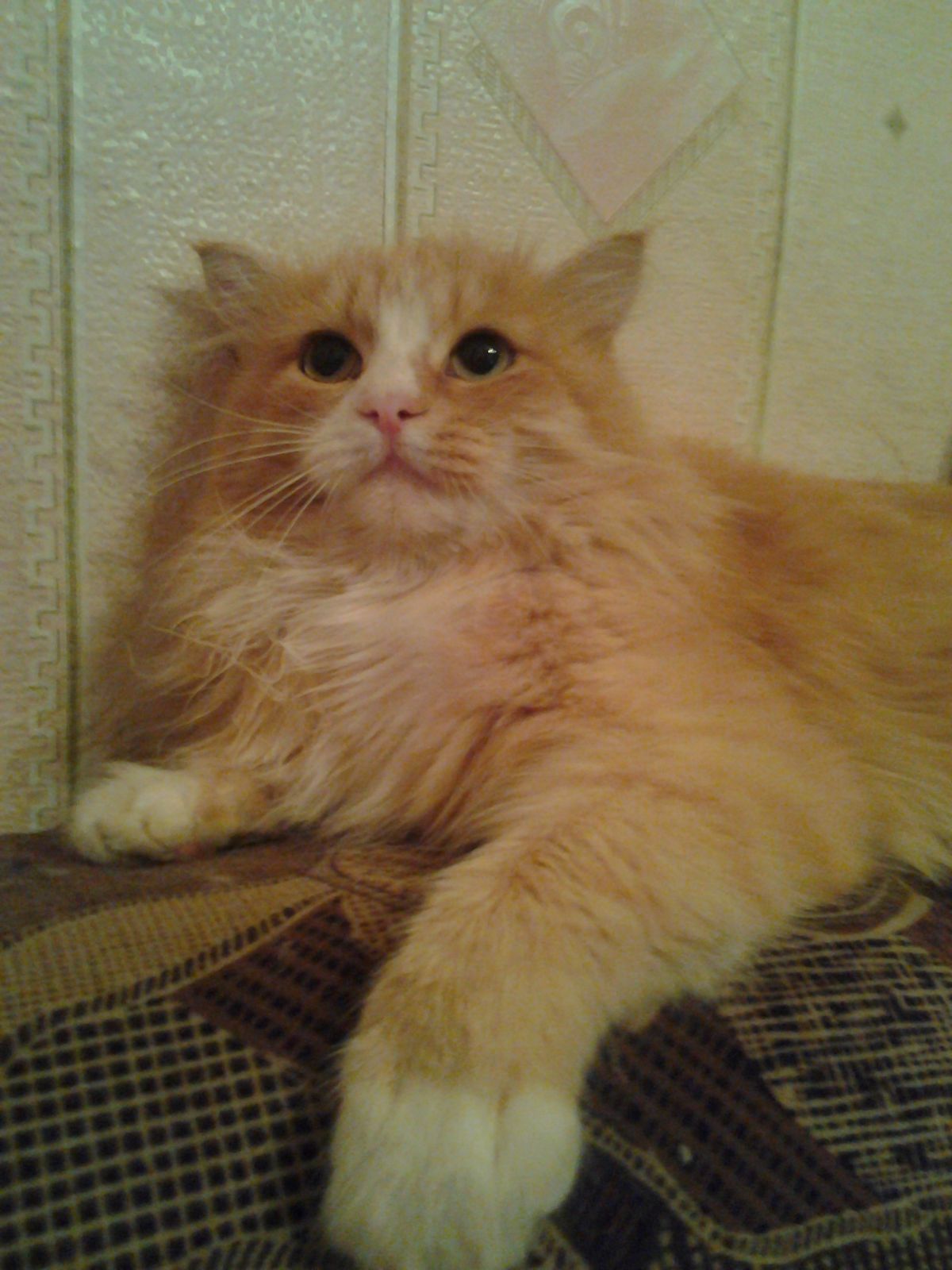 Ягуар Андрей