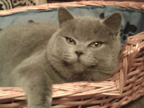 Ольга Тихонова