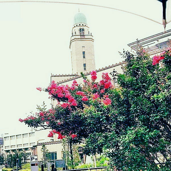 Карина Вернер