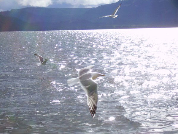 Лариса Сбитнева