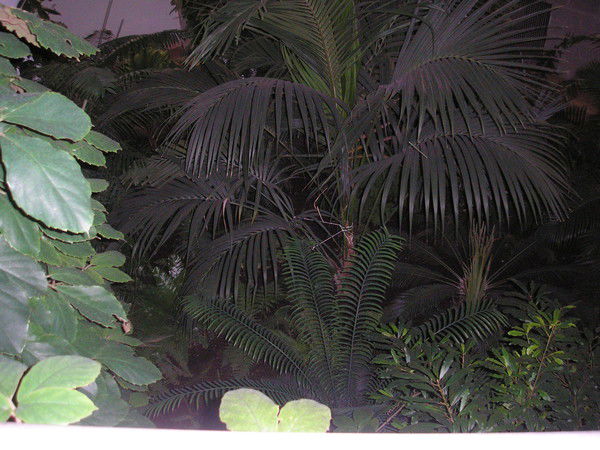 Политолог Юридическая