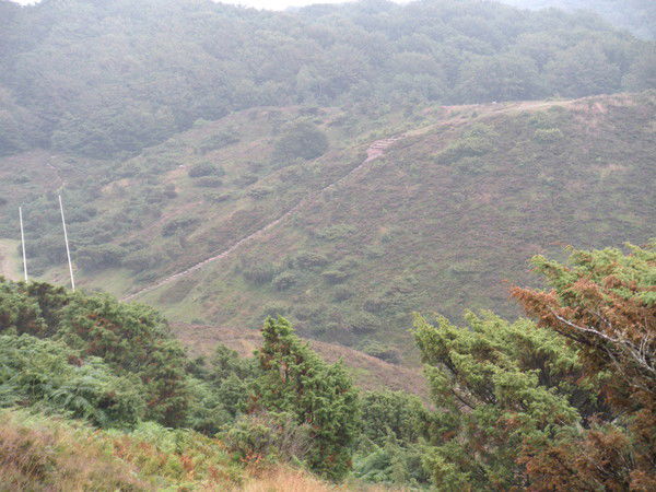 Гадя Хренова