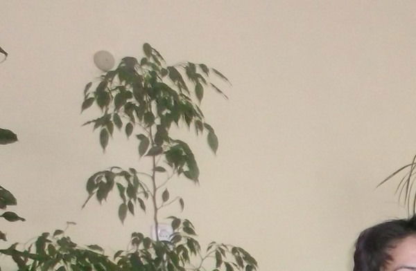 Гульмира Мукатаева