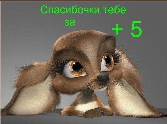 Андрей Решетников