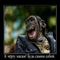 Алексей Дерванов