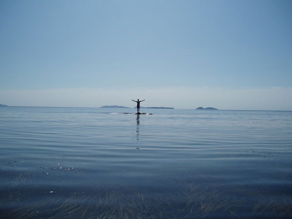 Владимир Медведев