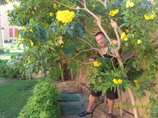 Игорь Воробьёв