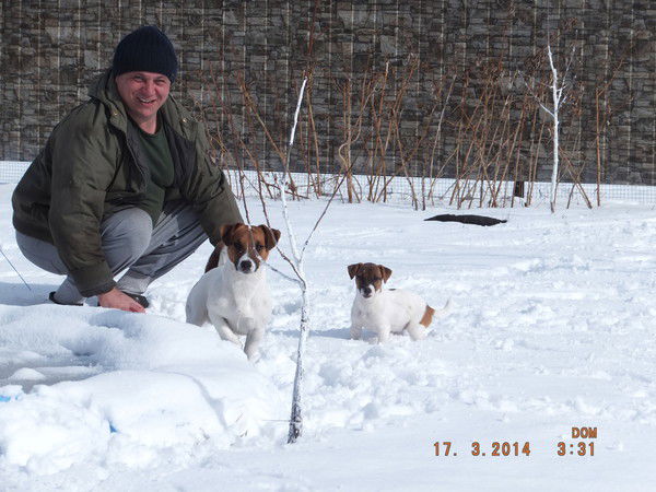 Олег Корочинский