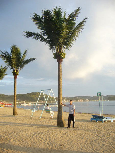 Александр Тумашов