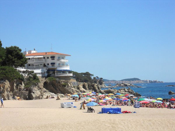 Ольга Антон