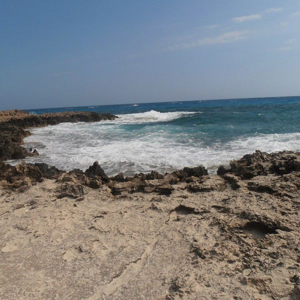 Полина Шипунова