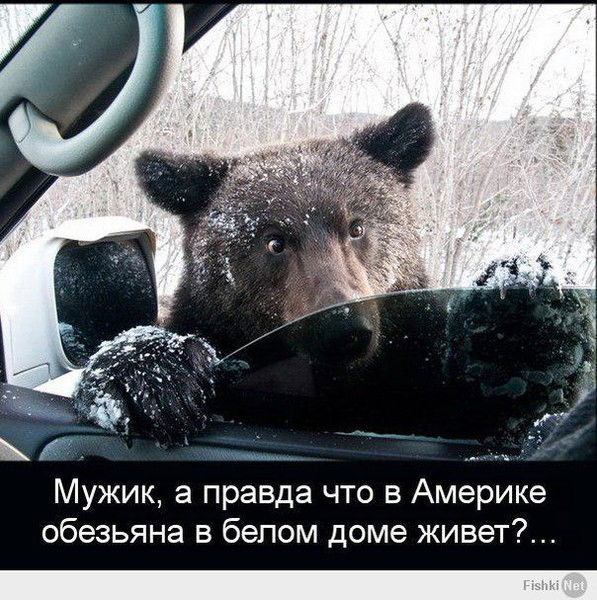 Владимир Смирнов