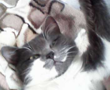 Елена Усиченко