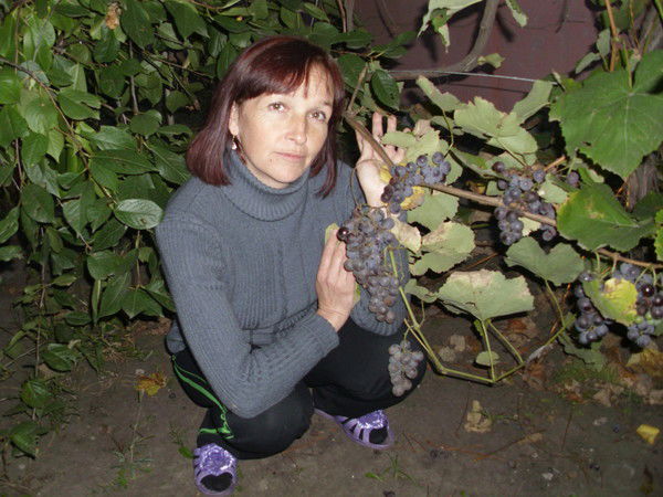 Елена Маслова