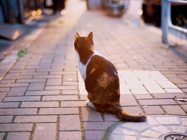 Лада Наймушина