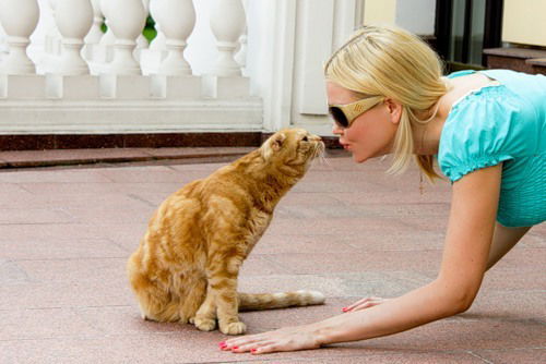 Елена Рябцева