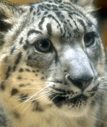 Авиа Билеты