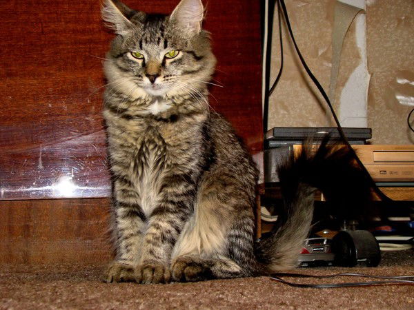 Юрлик Поздеев