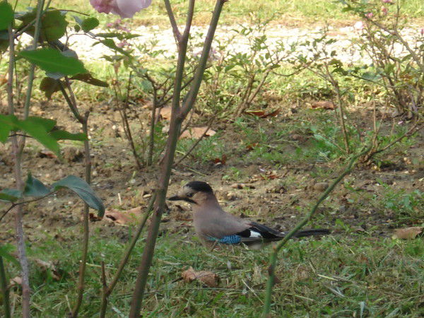 Наталья Зубарева