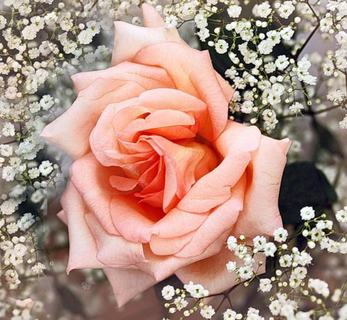 Любовь Якимова