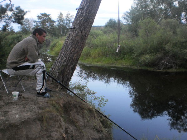 Константин Шелест
