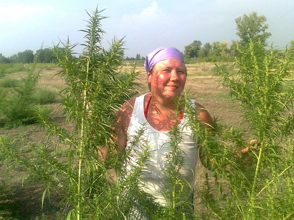 Татьяна Олимова