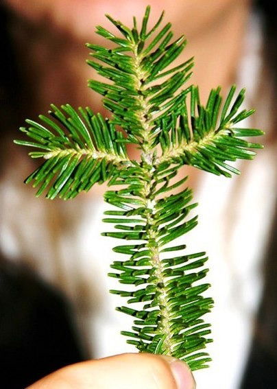 Андрей Копытин