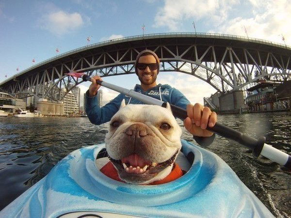 Канцелярия +7702 Праздник 4880478