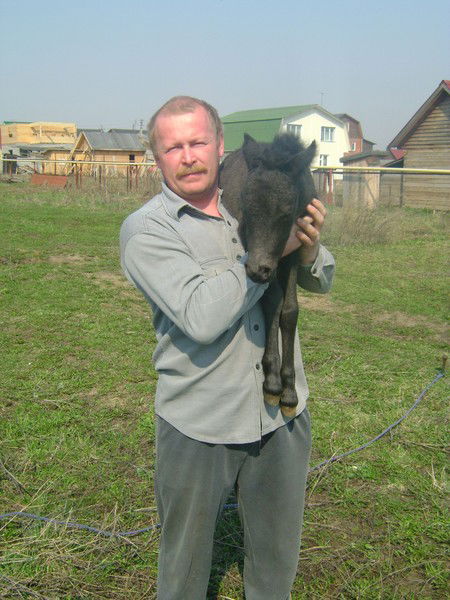 Сергей Береснев