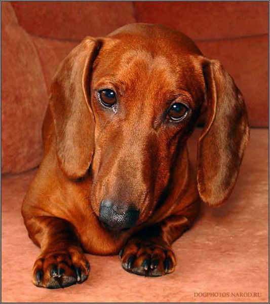 Татьяна Ворончихина