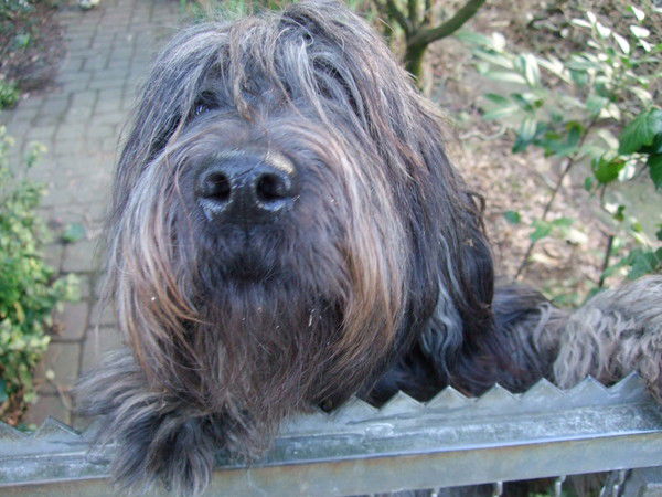 Лариса Цветкова