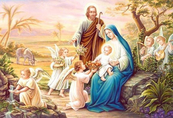 Елена Шевченко