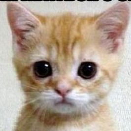 Виктор Паршаков