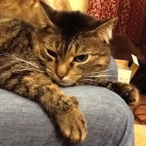 Елена Шабалина