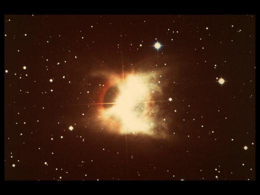 Светлана Шишунова