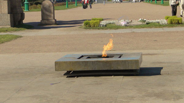 Наталья Жаркова