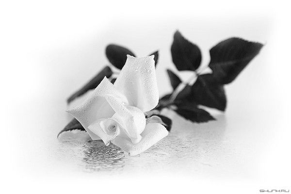 Розалия Магажанова