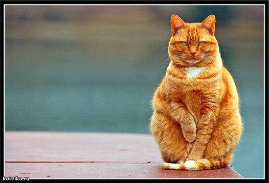 Егор Марахов