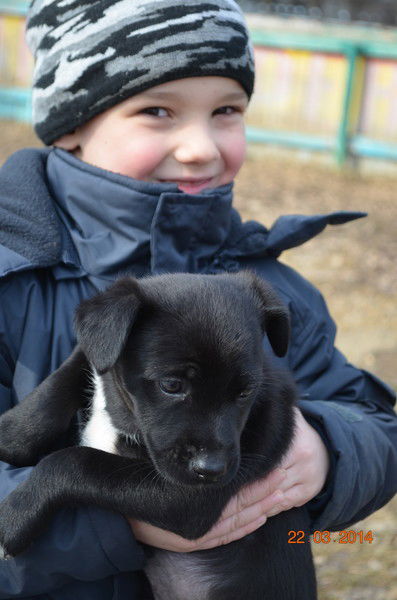 Анна Любавина (Худан)