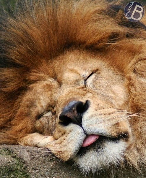 Юра Захаров