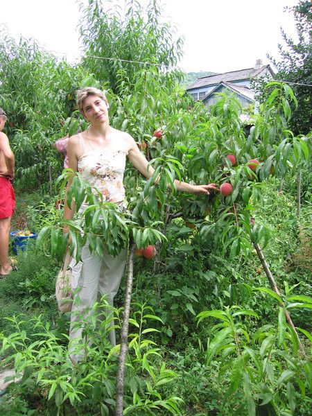 Света Николаева