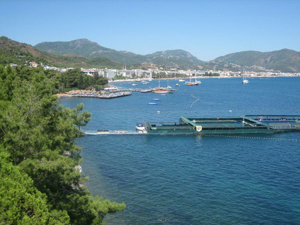 Ирина Кирюшина