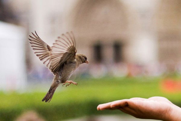 Gullayla Zhaukasharova