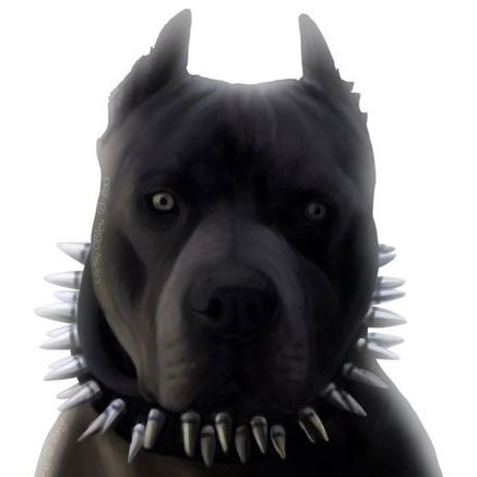 Диман Петин